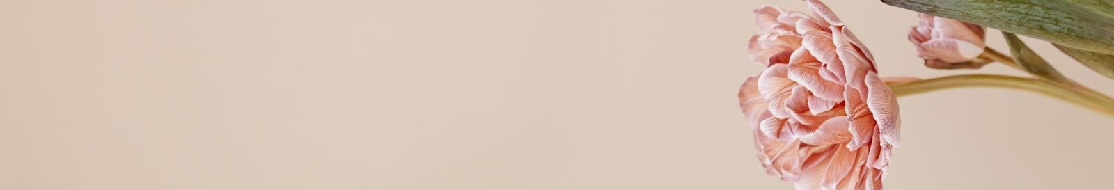 D&D Flowers Sayfa Arkaplan