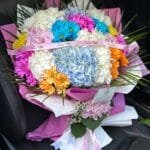 Ortanca ve Krizanten