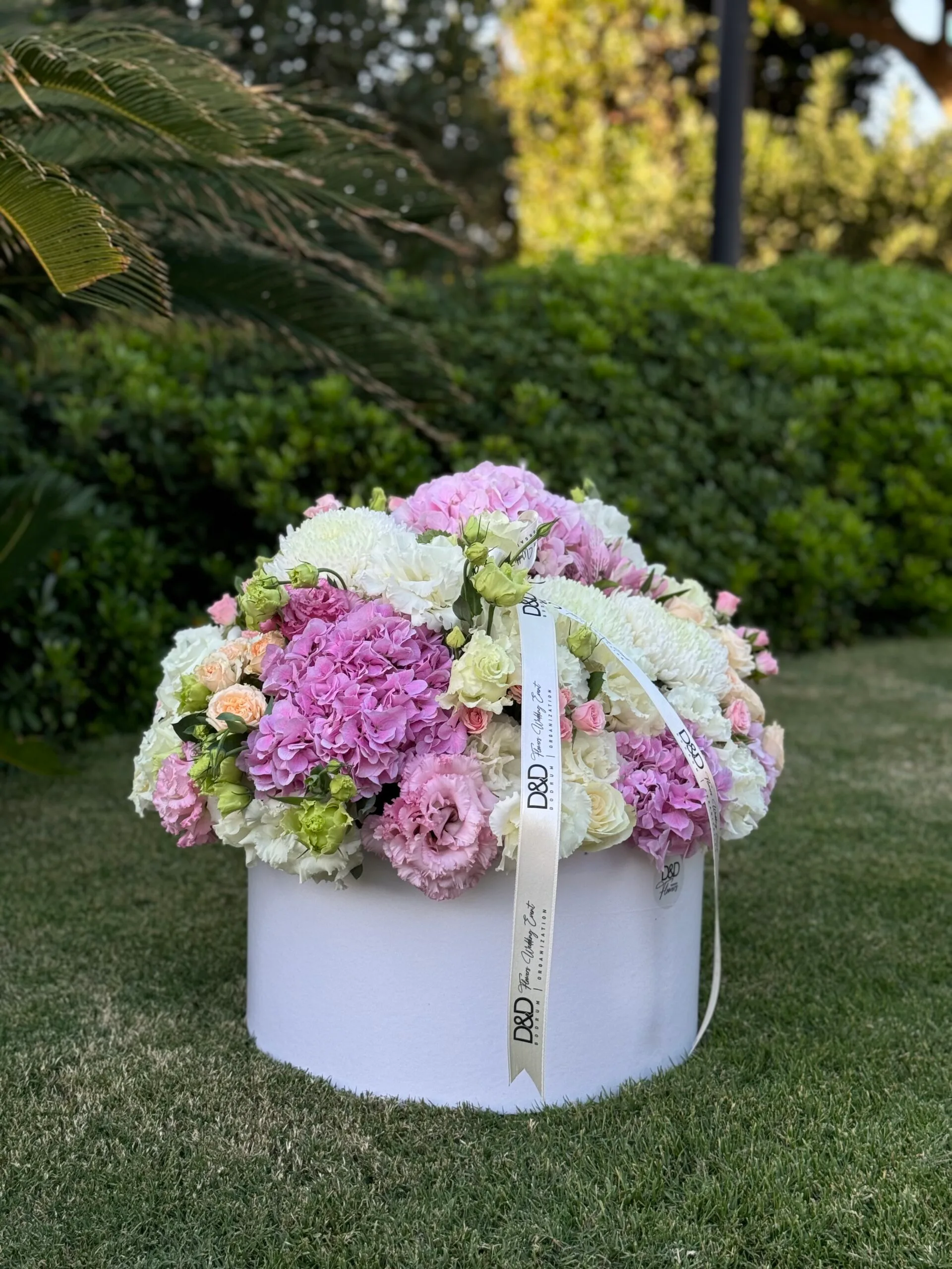 Thin Elegance - Görsel 2