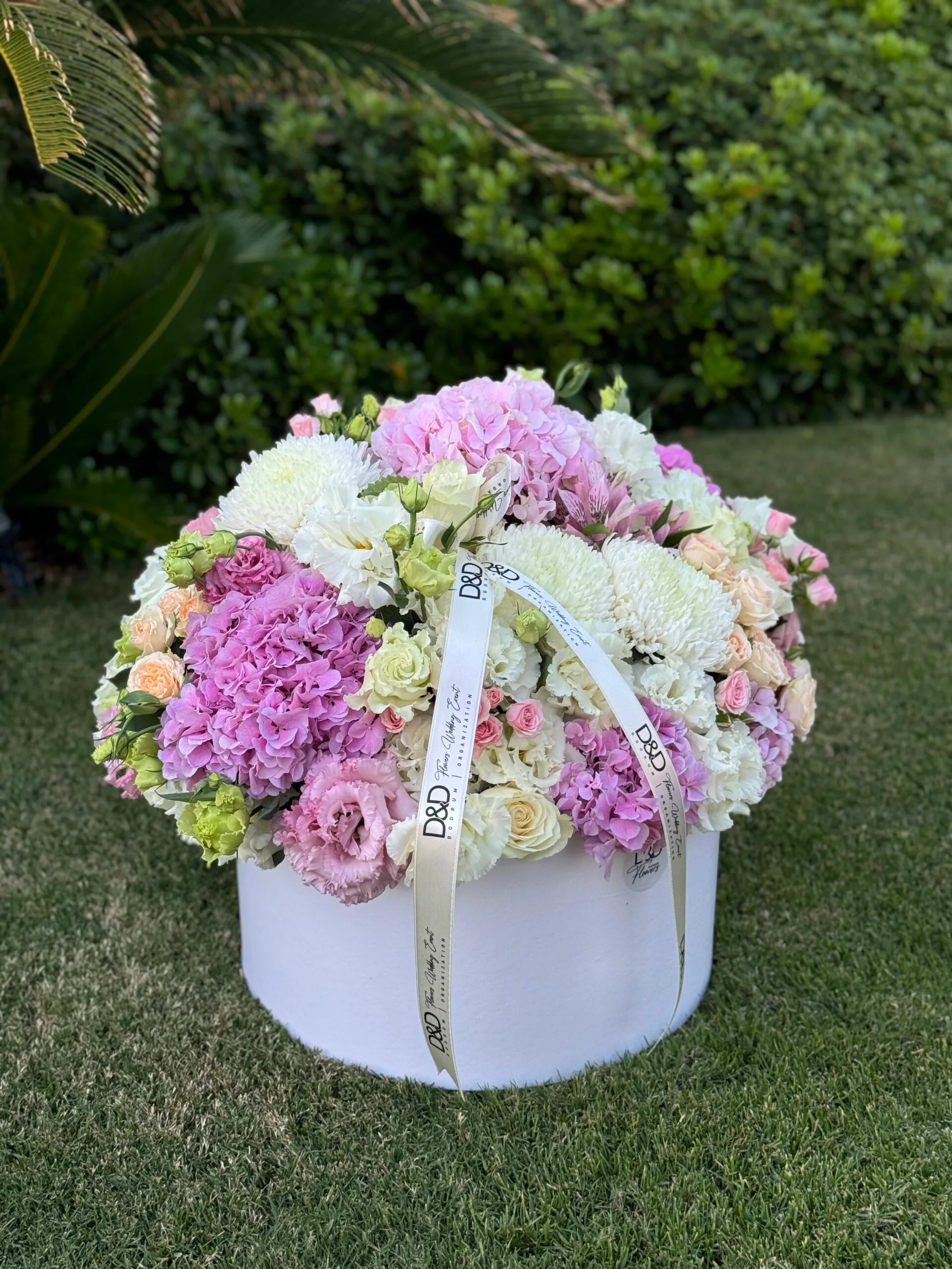 Thin Elegance - Görsel 1