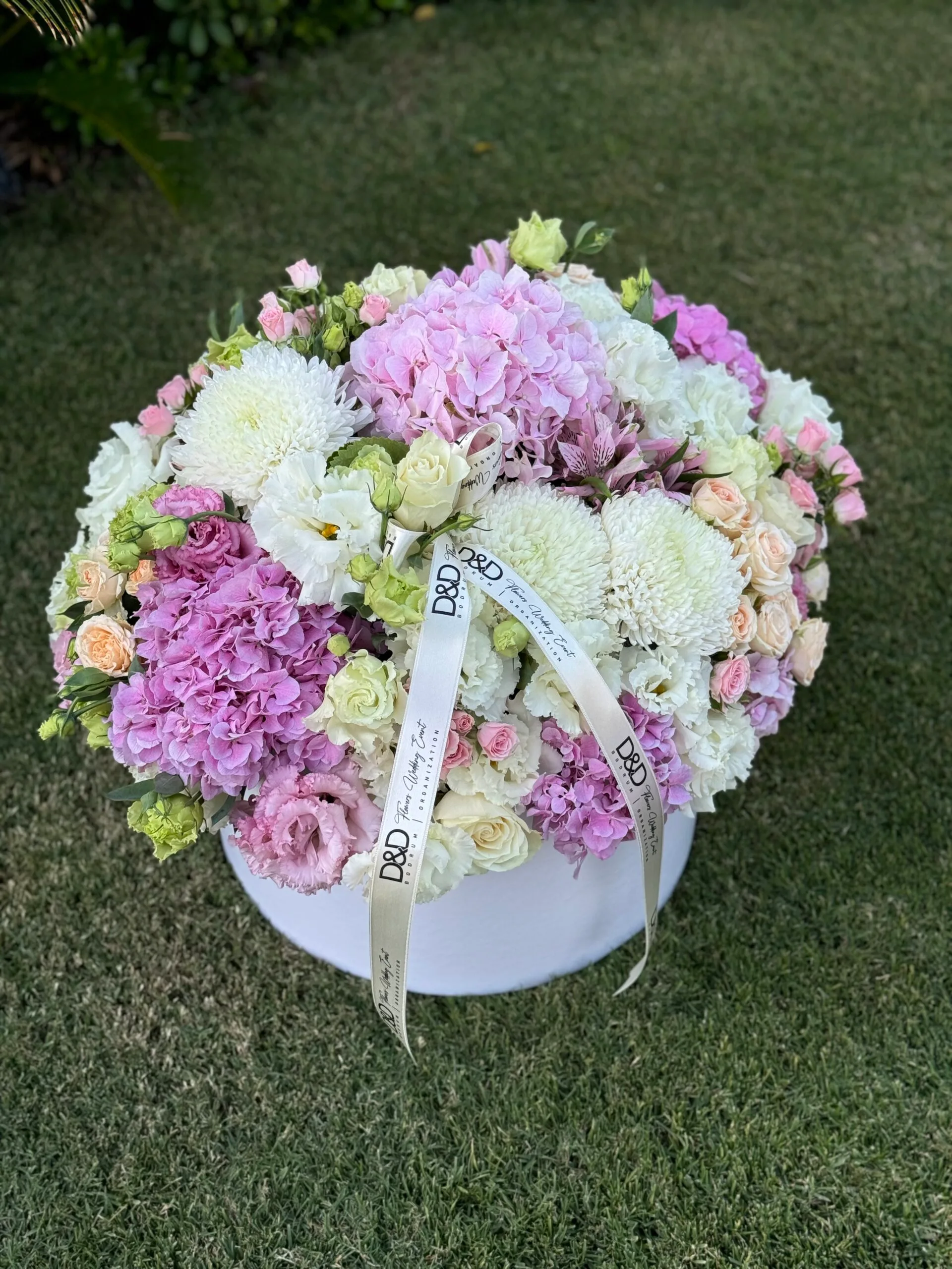 Thin Elegance - Görsel 3