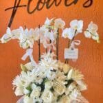 XL Beyaz Orkide Aranjmanı