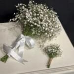 Cipsofilyalar Gelin El Çiçeği